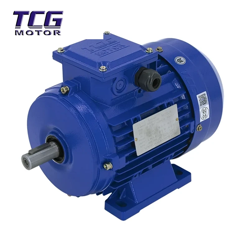 Động cơ vỏ nhôm B3 gắn chân