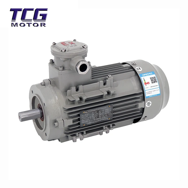 Ex d IIC T4 Động cơ chống cháy nổ B14 Mặt bích nhỏ
