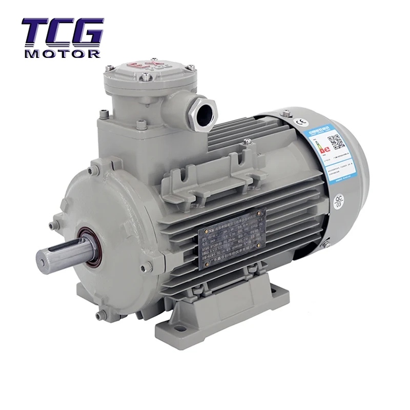 Lắp động cơ chống cháy nổ Ex d IIC T4 B3