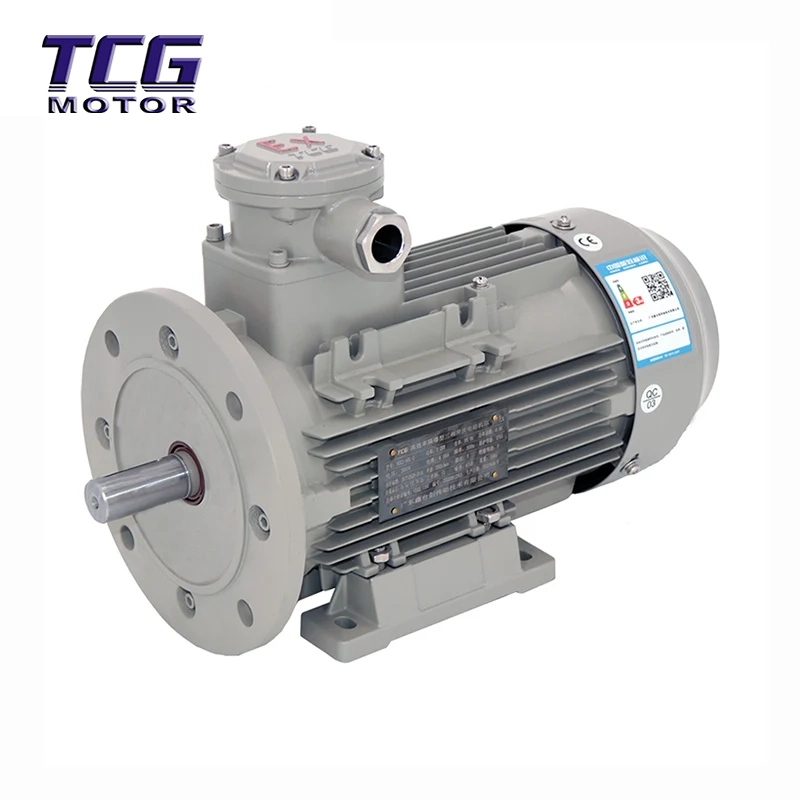 Ex d IIC T4 Động cơ chống cháy nổ chân B35