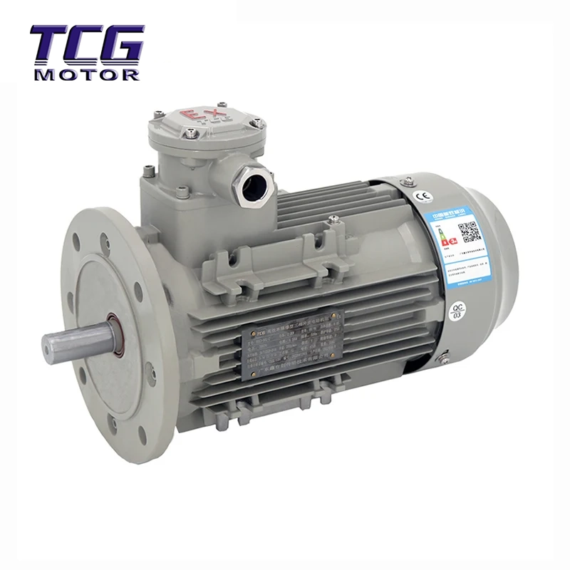 Ex d IIC T4 Động cơ chống cháy nổ B5 gắn mặt bích