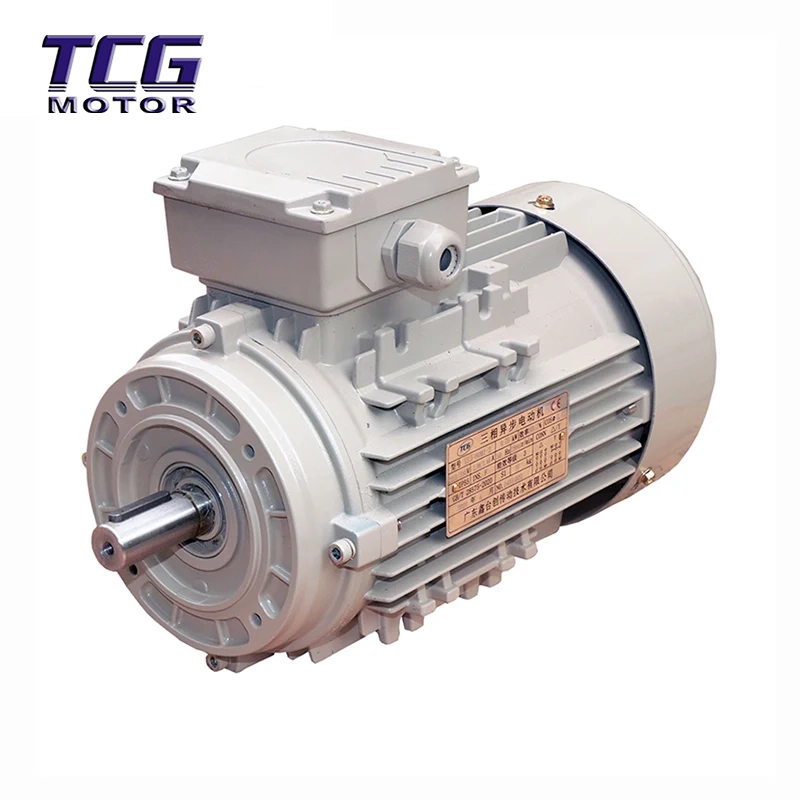 Động cơ hiệu suất cao B14 gắn mặt bích